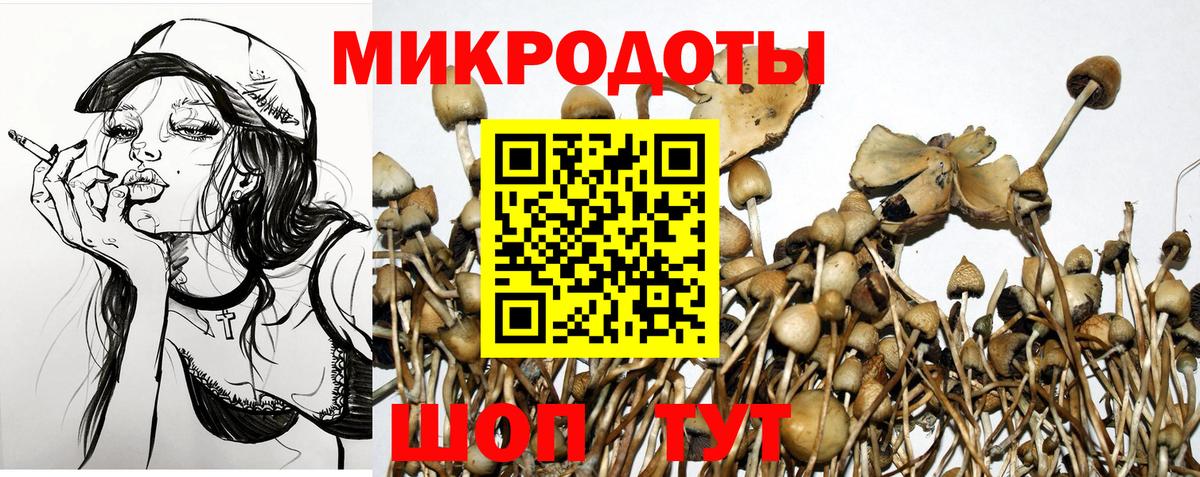 цена   Вход с VPN  Реж  Псилоцибиновые грибы Psilocybine cubensis 